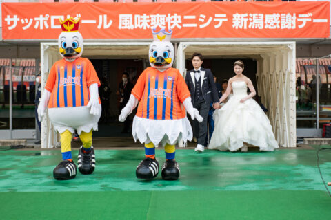 ビッグスワン アークベル ウェディング ビアンベール ドレス