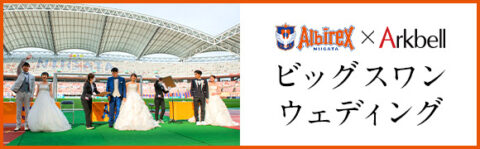 ビッグスワン アークベル ウェディング ビアンベール ドレス