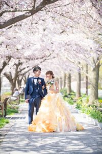 ロケーションフォトウェディング　洋装　桜並木　カラードレス