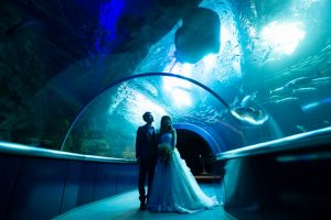 ロケーションフォトウェディング　水族館　洋装　ウェディングドレス