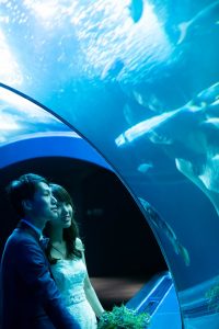 ロケーションフォトウェディング　水族館　洋装　　ウェディングドレス　