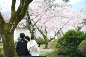 ロケーションフォトウェディング　桜　和装　紋服　白無垢　バックショット