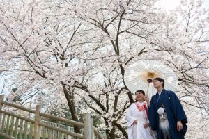 ロケーションフォトウェディング　和装　紋服　白無垢　桜