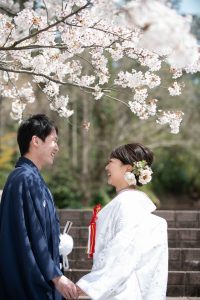 ロケーションフォトウェディング　桜　和装　紋服　白無垢