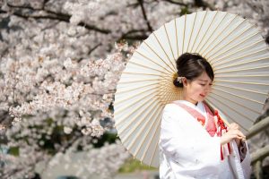 ロケーションフォトウェディング　和装　白無垢　ソロショット　桜　番傘