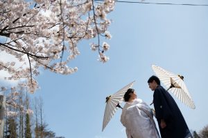 ロケーションフォトウェディング　和装　番傘　紋服　白無垢　桜