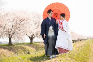 ロケーションフォトウェディング　和装　番傘　紋服　白無垢　桜