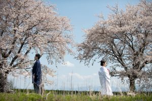 ロケーションフォトウェディング　和装　紋服　白無垢　桜