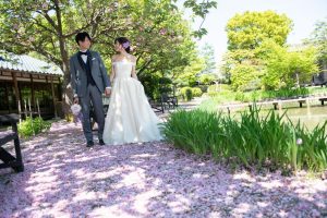 ロケーションフォトウェディング　洋装　桜の絨毯