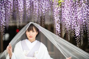 ロケーションフォトウェディング　和装　北方文化博物館　藤棚　白無垢　ベール