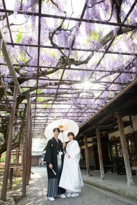 ロケーションフォトウェディング　北方文化博物館　和装　紋服　白無垢　藤棚　番傘