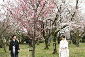 ロケーションフォトウェディング　桜　和装　紋服　白無垢