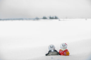 冬フォト　和装　福島潟　新潟県　和装雪だるま