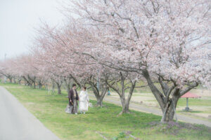 白無垢　和装 燕市河川公園