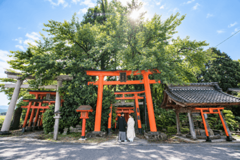 新発田の大友稲荷奥之院で朱色の鳥居を歩く白無垢の花嫁と紋付袴の花婿